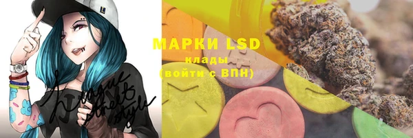 прущий лед Вязники