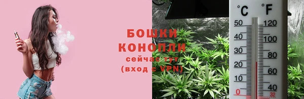 мяу мяу мука Вязьма