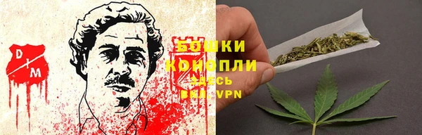 спайс Вяземский